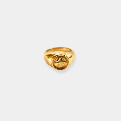 Shell Ring