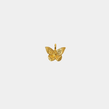 Butterfly charm