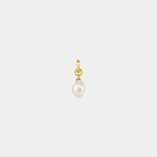 Load image into Gallery viewer, DIY Pearl Charm