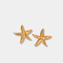 Load image into Gallery viewer, Sea Star Studs XL