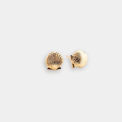 Clam Studs